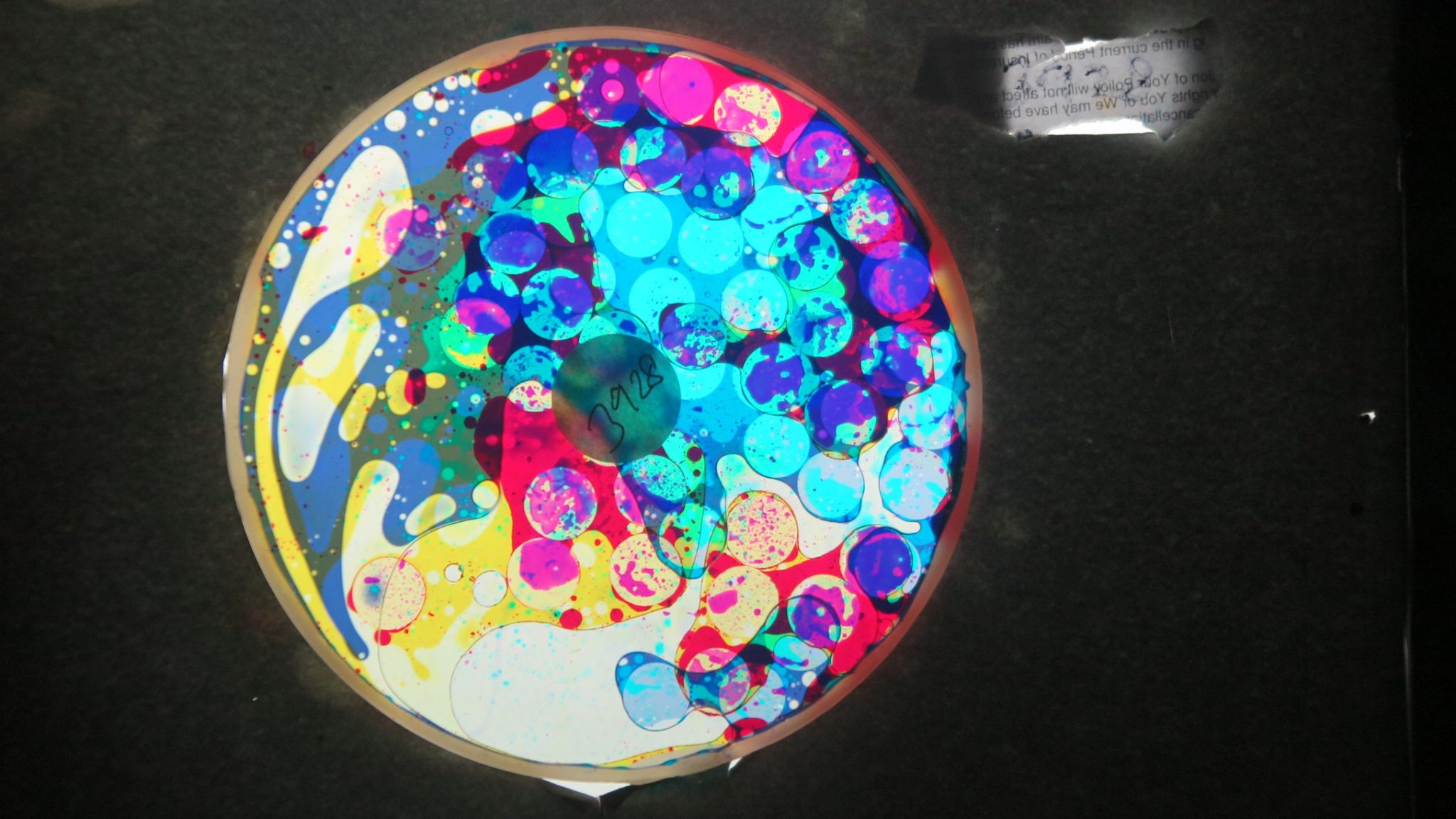 BV3928 bubble vision oil wheel